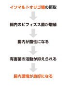 インマルトオリゴ東