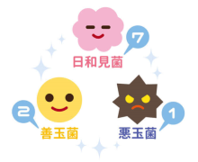 腸内フローラバランス