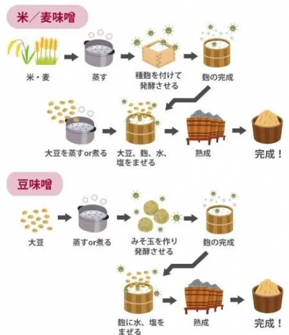 味噌を選ぶポイント①